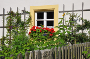 Blick über den Holzaun in den Bauerngarten in Heidelheim.